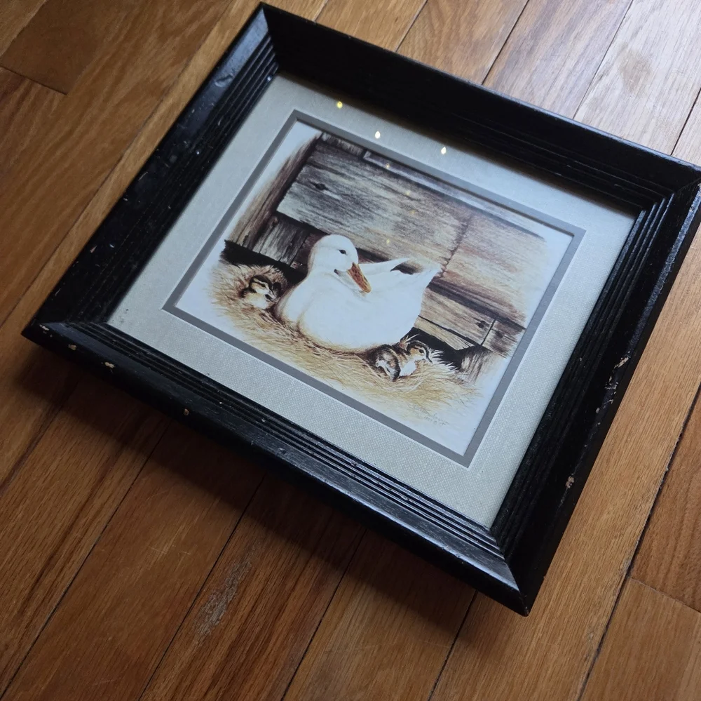 Vintagw‎ Black Framed Duck Art Print